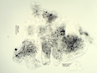 Aluminum Corrosion Debris