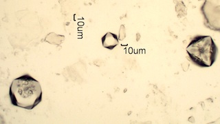 Cesium Alum Test for Aluminum