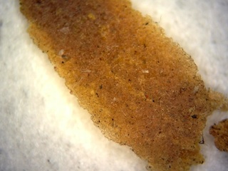 Honeybee Frass