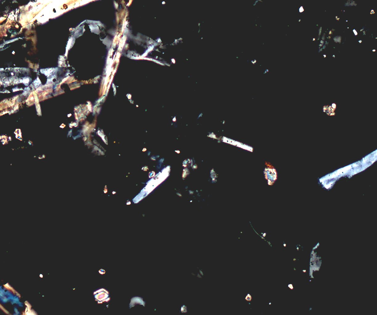 Transmitted Polarized Light