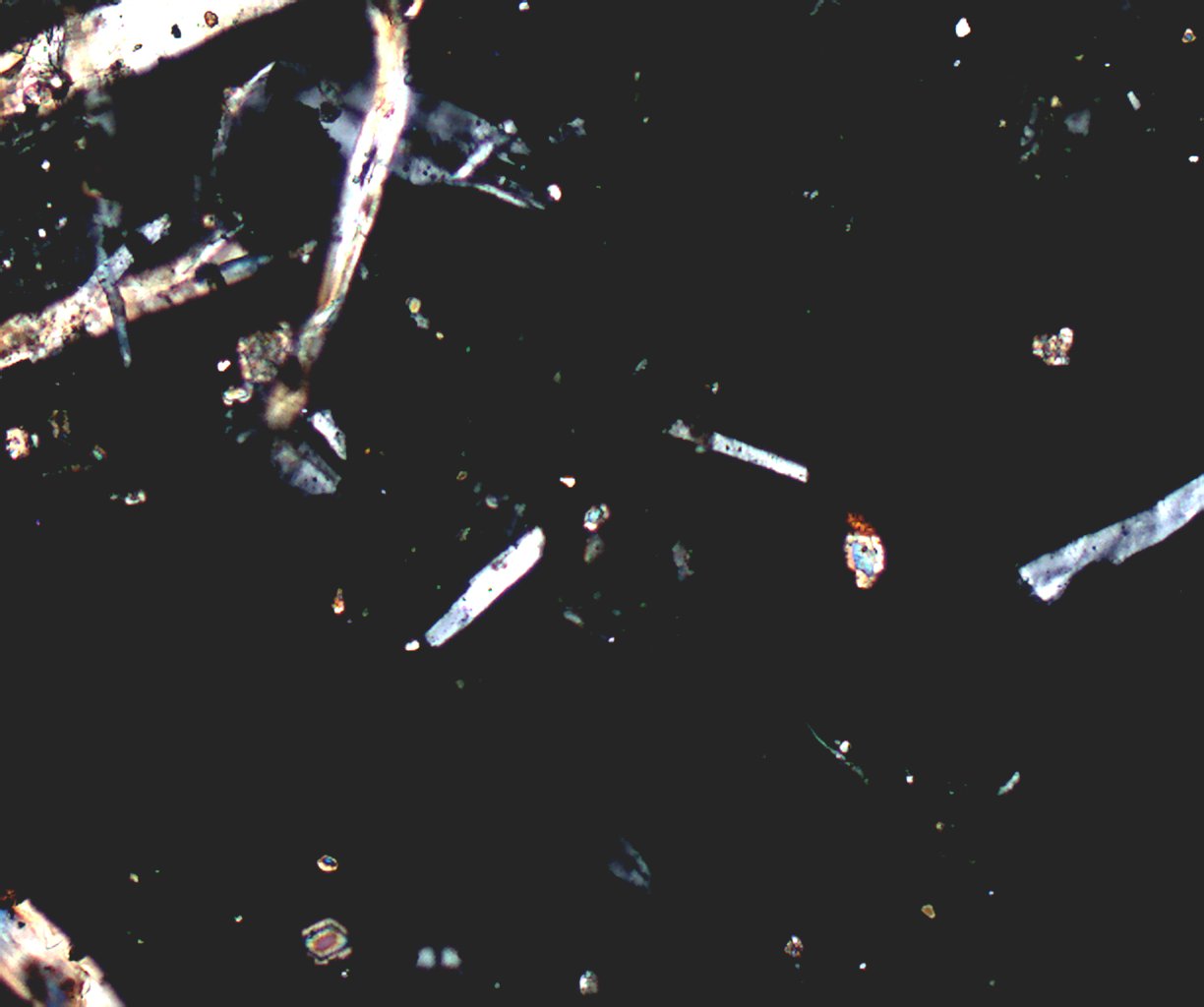 Transmitted Polarized Light