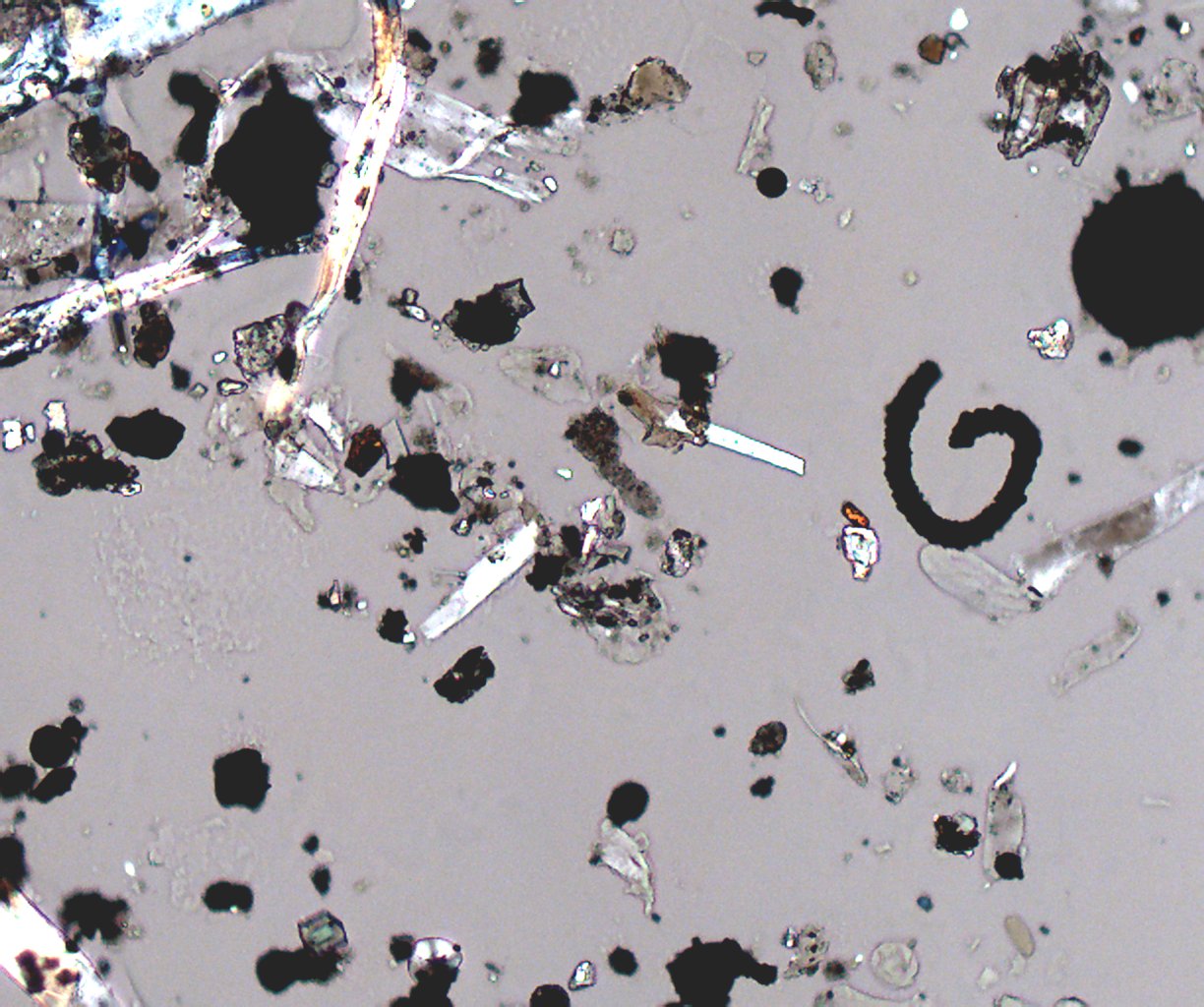 Transmitted Polarized Light