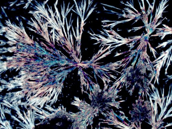 Efflorescence