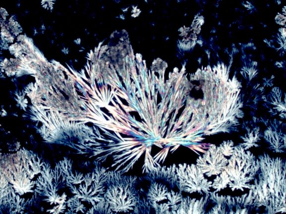 Efflorescence