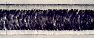 Bison Hair