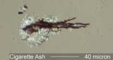 Cigarette Ash