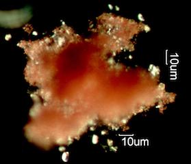 Pink Pearl Erasure Dust