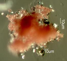 Pink Pearl Erasure Dust