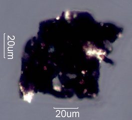 Charred Tar Shingle