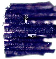 Charred Plywood