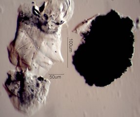 Aluminum Corrosion Debris