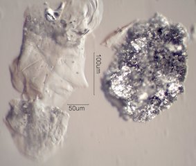 Aluminum Corrosion Debris