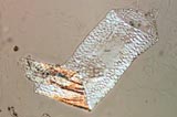 Bag Cell