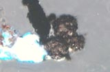 3 Cenospheres