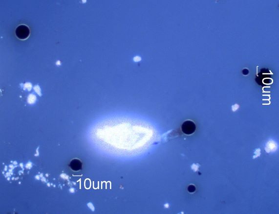 Magnetite Sphere