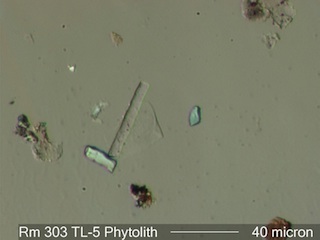 Glass Fiber Look-A-Like