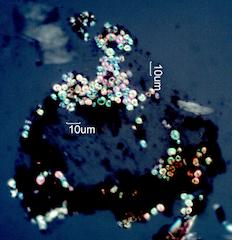Guanamine