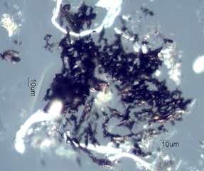 California Chaparral Fire Particles