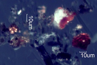 California Chaparral Fire Particles
