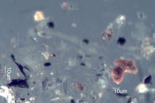 California Chaparral Fire Particles