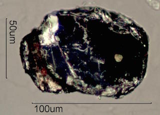 Muscovite Mica