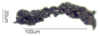 Tire Wear