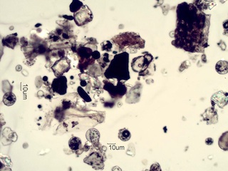 Coal Flyash