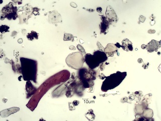 Coal Flyash