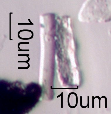 Glass Fiber and SiO2 Phyto