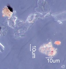 La Tuna Fire Particles