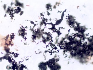 La Tuna Fire Particles