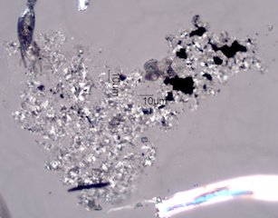 Creek Fire Particles