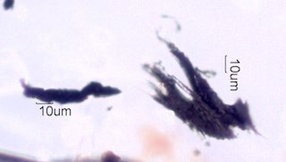 Creek Fire Particles