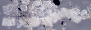 Creek Fire Particles
