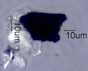 Creek Fire Particles