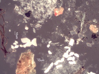 Colorado Montane Chaparral Fire Particles