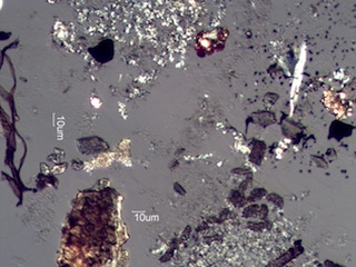 Colorado Montane Chaparral Fire Particles