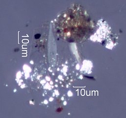 La Tuna Fire Particles