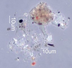 La Tuna Fire Particles