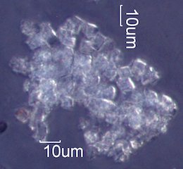 La Tuna Fire Particles