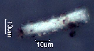 Pyrolyzed Silica Phytolith