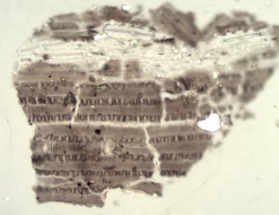 Pyrolyzed Silica Phytolith