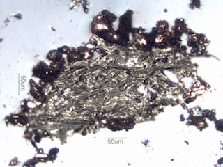 Charred Paper