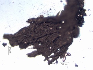 Charred Paper