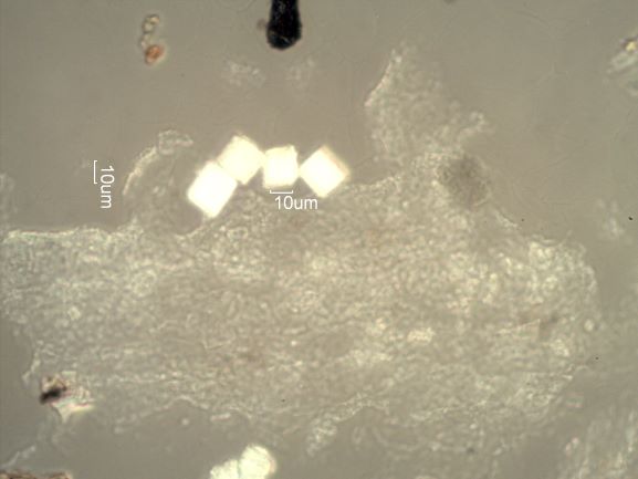 Saddle Ridge Fire Particles