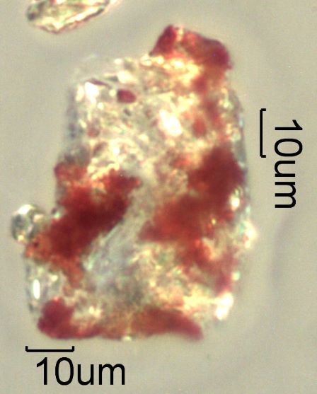 Saddle Ridge Fire Particles
