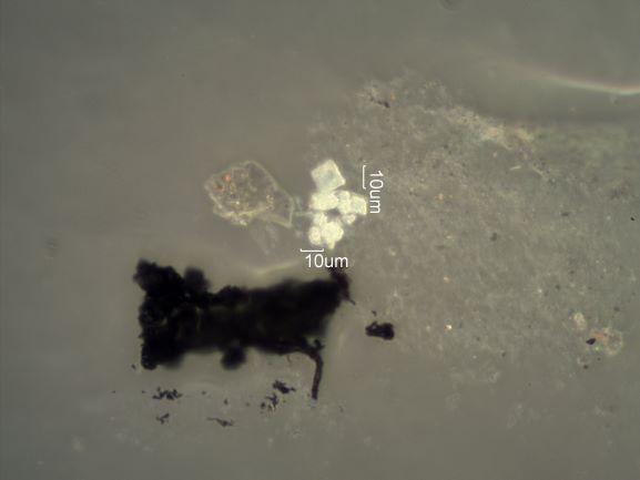 Saddle Ridge Fire Particles