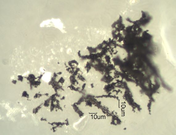 Saddle Ridge Fire Particles