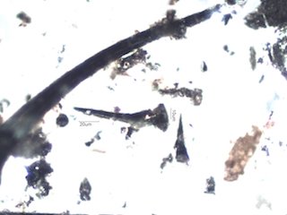 Marijuana Ash
