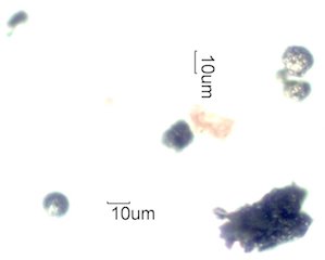 Black Particle in an Office